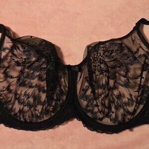 Empreinte 36F Amour Full Cup Black Bra